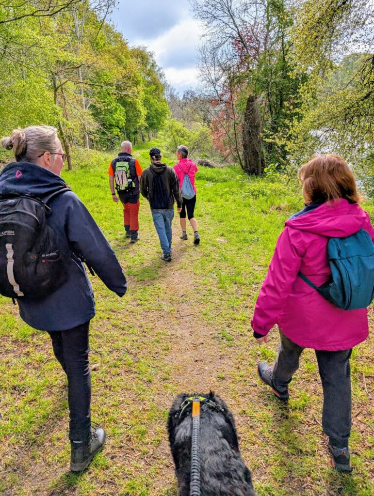 5 people and a Border Collie walking in sunshine on a grass path by the river
